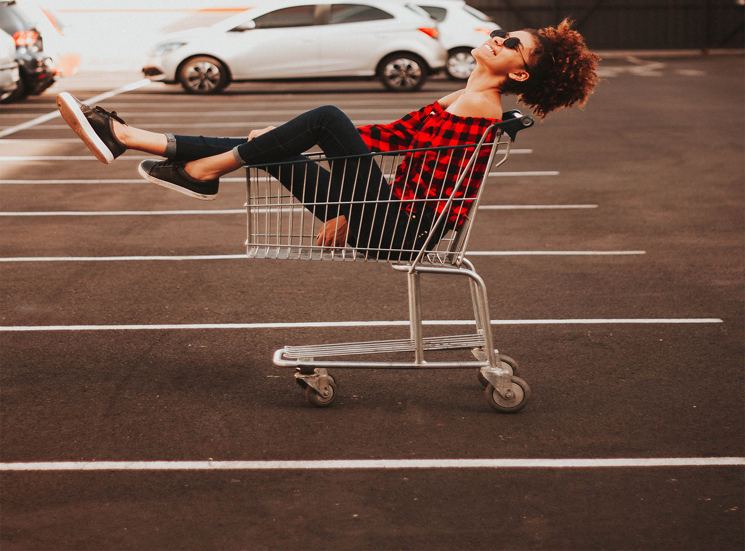 woman in shopping cart